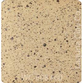 WC-608 Speckled Tan cone 6 mid range clay - 50 lbs
